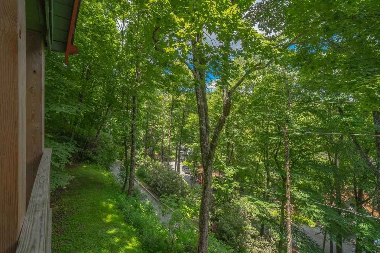 Swiss Mountain Village Blowing Rock Exteriör bild